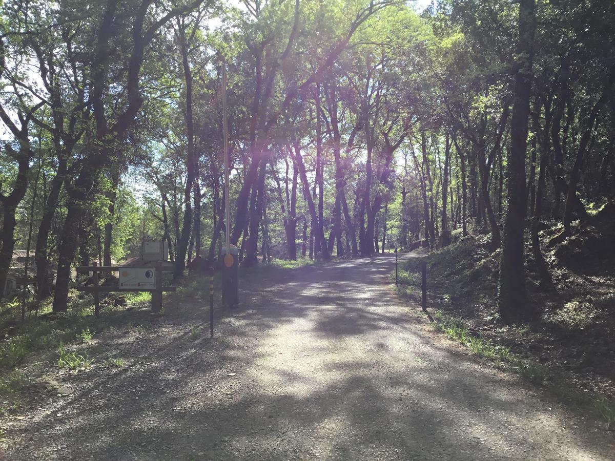 Camping De Graniers Monoblet エクステリア 写真